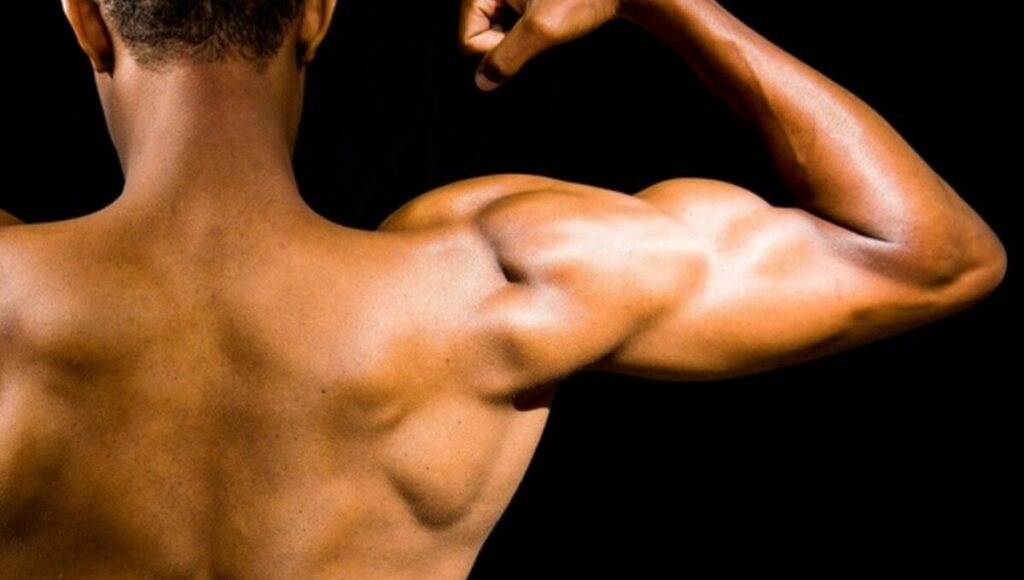 How Steroids Affect Muscle Growth and Strength