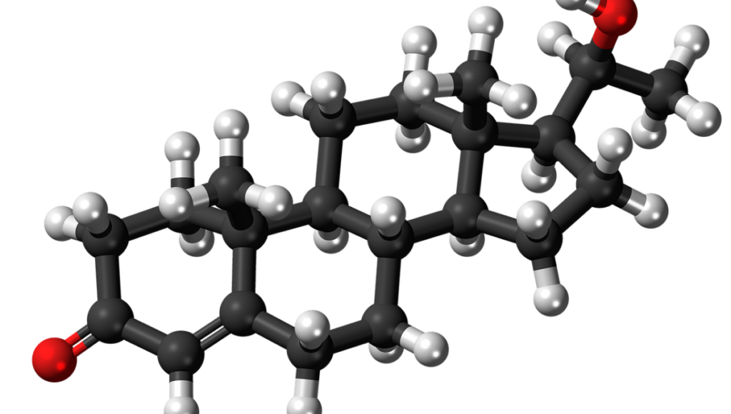 Types of Steroids